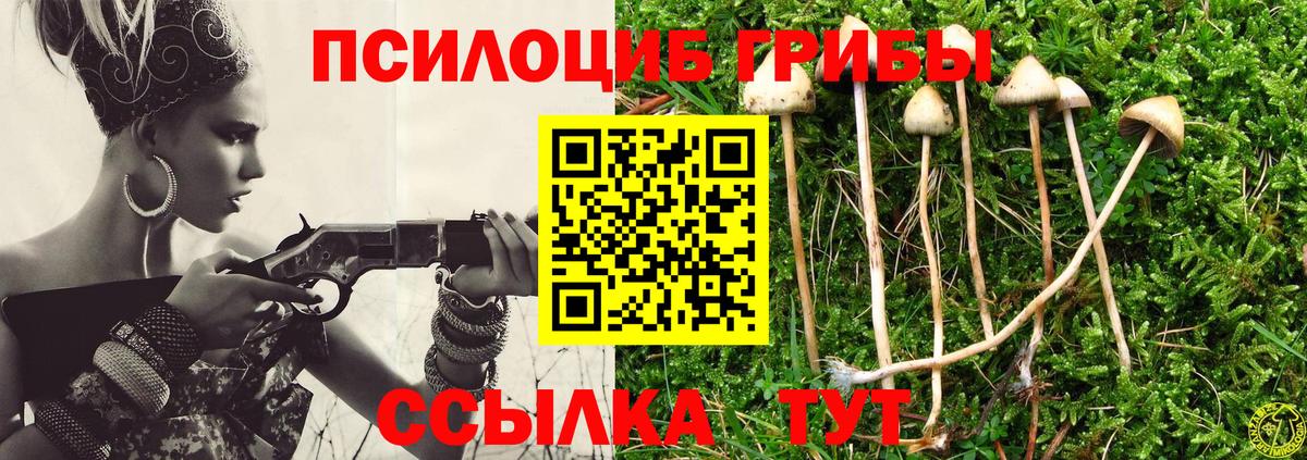 Псилоцибиновые грибы Cubensis Реж