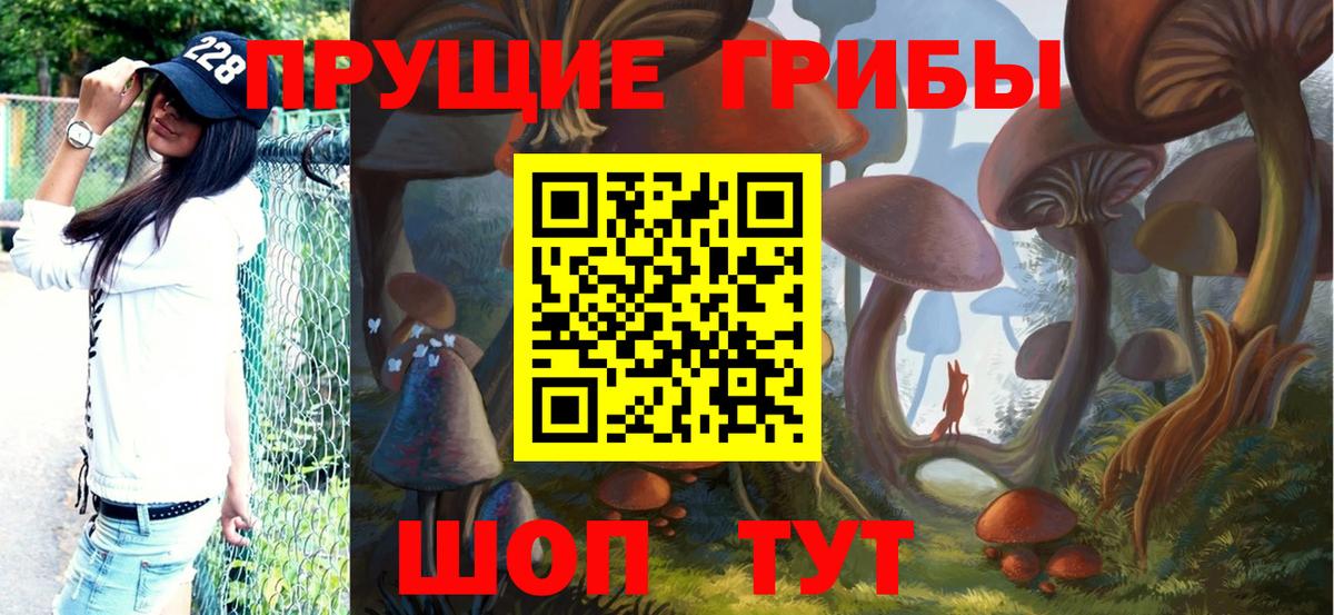 Псилоцибиновые грибы Cubensis  Вход с VPN  Реж 